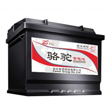 1S免维护铅酸电池